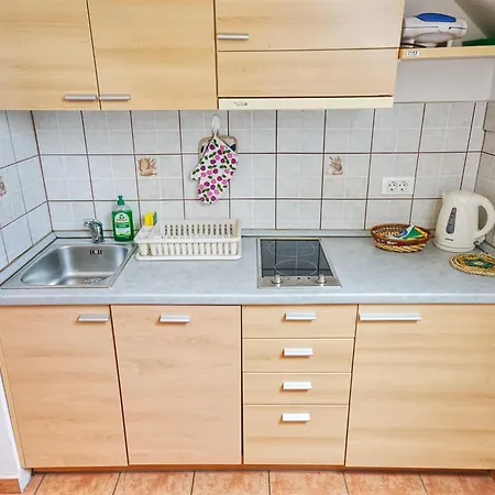 Apartment Kovacic *