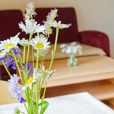 Daire Kovacic Bohinj