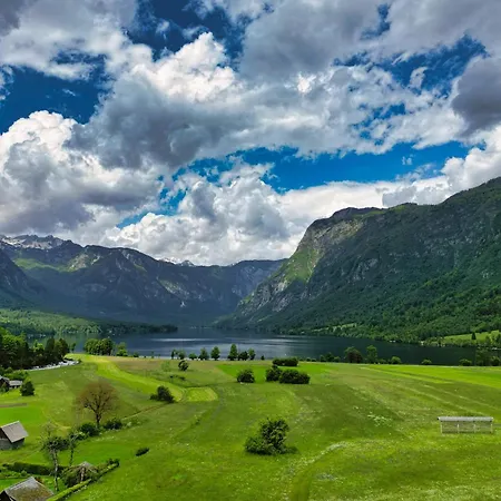 Daire Kovacic Bohinj