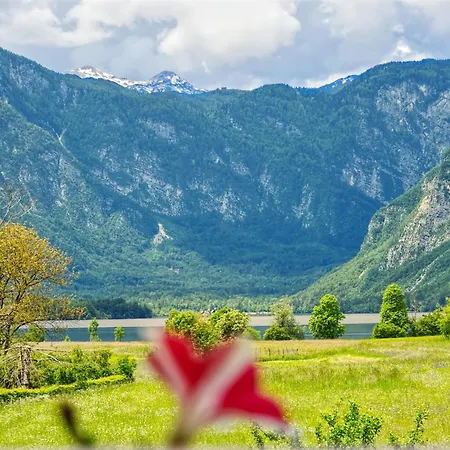 Kovacic * Bohinj